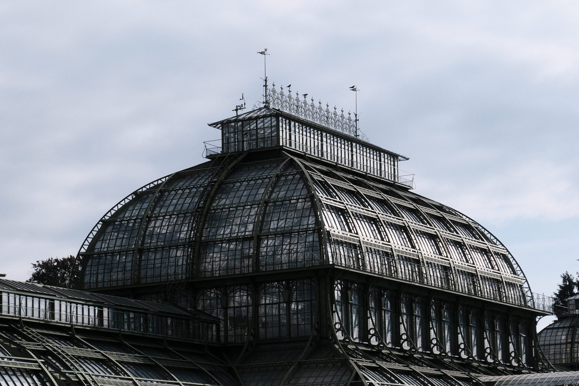Closer image of the Palmenhaus, with its wrought iron superstructure