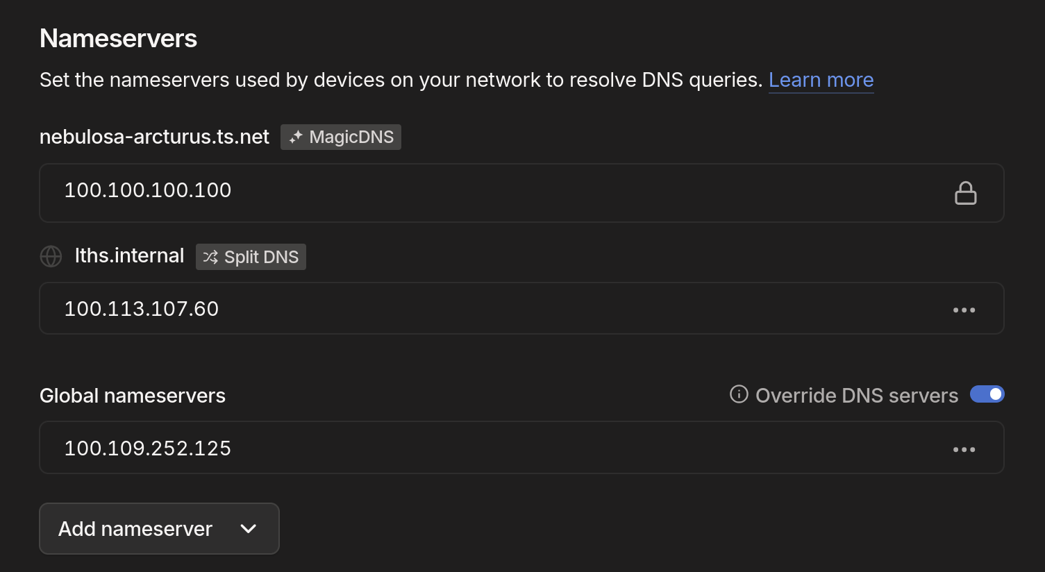 the Tailscale DNS config panel, showing my tailnet name routing to 100.100.100.100 and my internal LDAP domain routing to a tailnet IP, and a global DNS server routing to another tailnet IP